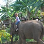 sylvie voyage laos hopital elephant